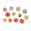 Cerf Dellier 13 Fleurs 3D comestibles en azyme assorties Clearance