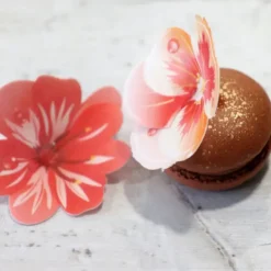 Cerf Dellier 13 Fleurs 3D comestibles en azyme assorties Clearance