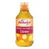 Cerf Dellier Arôme naturel de Citron Sébalcé 500 ml Hot