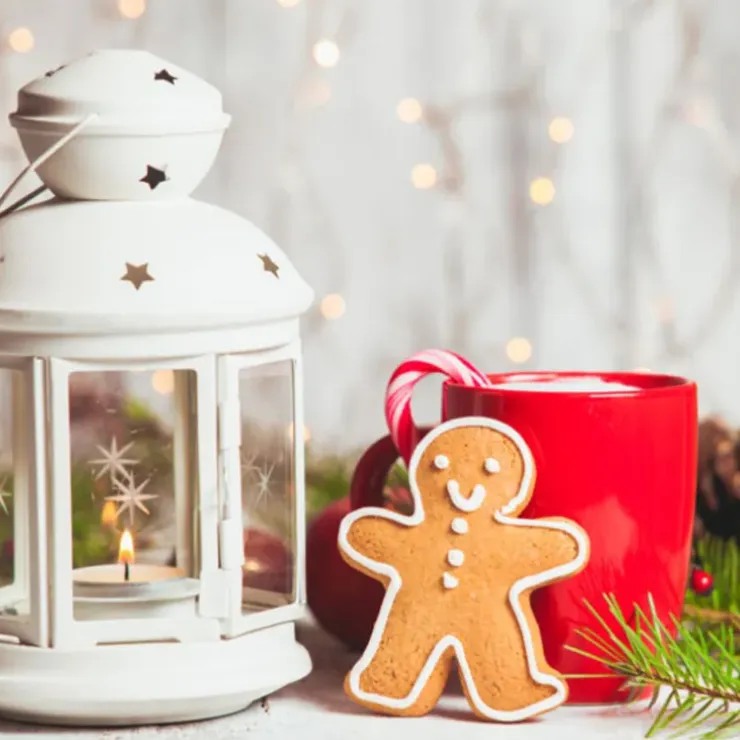 Cerf Dellier Boîte à biscuits de Noël Houx en métal 14,5 cm Outlet