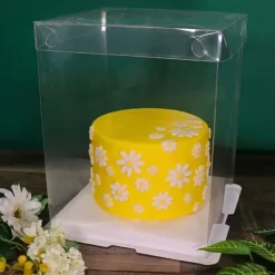 Cerf Dellier Boîte gâteau transparente - 25 x 25 x 30 cm Best