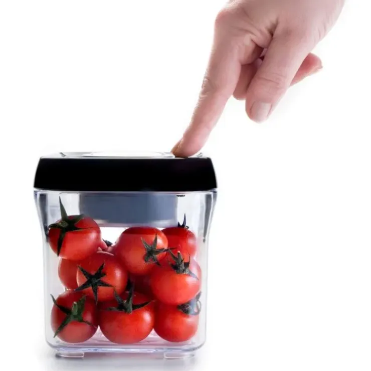 Cerf Dellier Boîte sous vide carrée empilable 0,50 l New