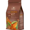Cerf Dellier Chocolat de Couverture au Lait Lactée 35 % 5 kg Hot