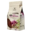 Cerf Dellier Chocolat de couverture noir St Domingue 70% 1 Kg Hot