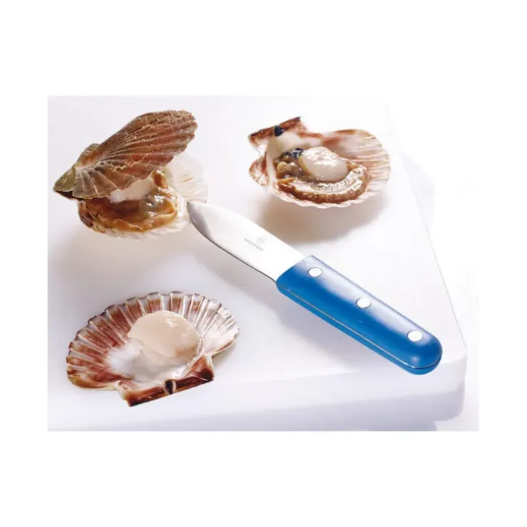 Cerf Dellier Couteau à coquille Saint Jacques bleu Hot