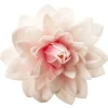 Cerf Dellier Dahlia rose géant azyme Best