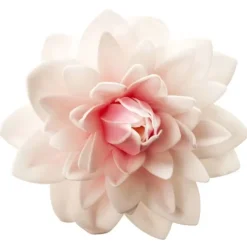 Cerf Dellier Dahlia rose géant azyme Best