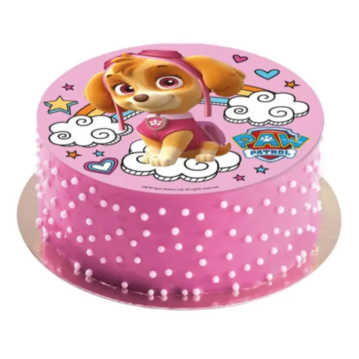 Cerf Dellier Disque azyme Pat Patrouille Stella 20 cm Online