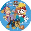 Cerf Dellier Disque gâteau en azyme Pat Patrouille 15,5 cm Clearance