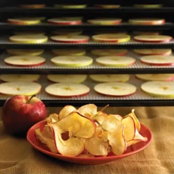 Cerf Dellier Déshydrateur électrique composite à fruits et légumes 9 plateaux 40° à 74° c Clearance
