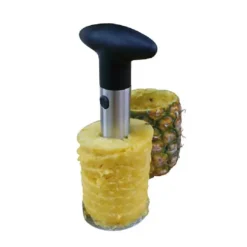 Cerf Dellier Evide ananas inox Hot