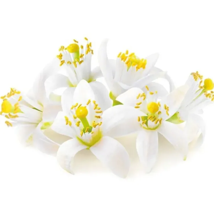 Cerf Dellier Extrait de fleur d'oranger 50 ml Hot