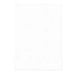 Cerf Dellier Feuilles azyme pour nougat et calissons A4 0,3 mm (x100) Discount
