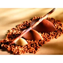 Cerf Dellier Flexipan 60x40 plaque de 100 petites quenelles 4,4x2,2x1,7  cm