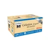Cerf Dellier Gélatine Halal bovine 400 feuilles 170 blooms 1 Kg Sale