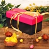 Cerf Dellier Kit ballotin chocolats fuchsia / noir Best