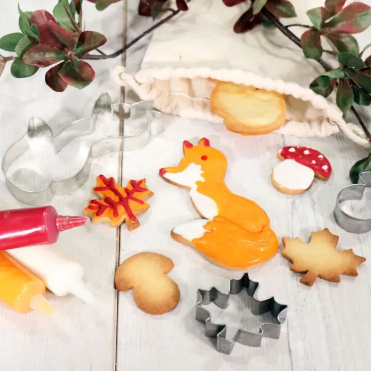 Cerf Dellier Kit biscuits forêt - DDM 05/24 Online