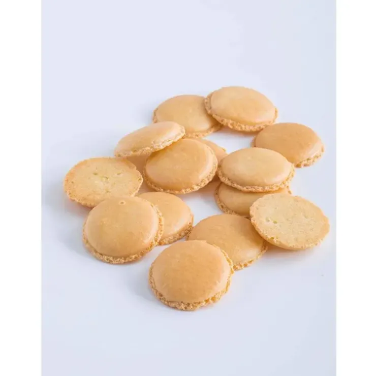 Cerf Dellier Le Petit Manuel du Macaron Best