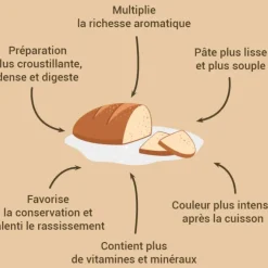 Cerf Dellier Levain de blé dur 150 g Clearance