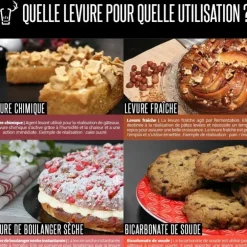 Cerf Dellier Levure de boulanger sèche instantanée 300 g Online