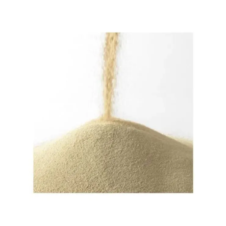 Cerf Dellier Levure sèche instantanée Saf-Instant 125 g Sale