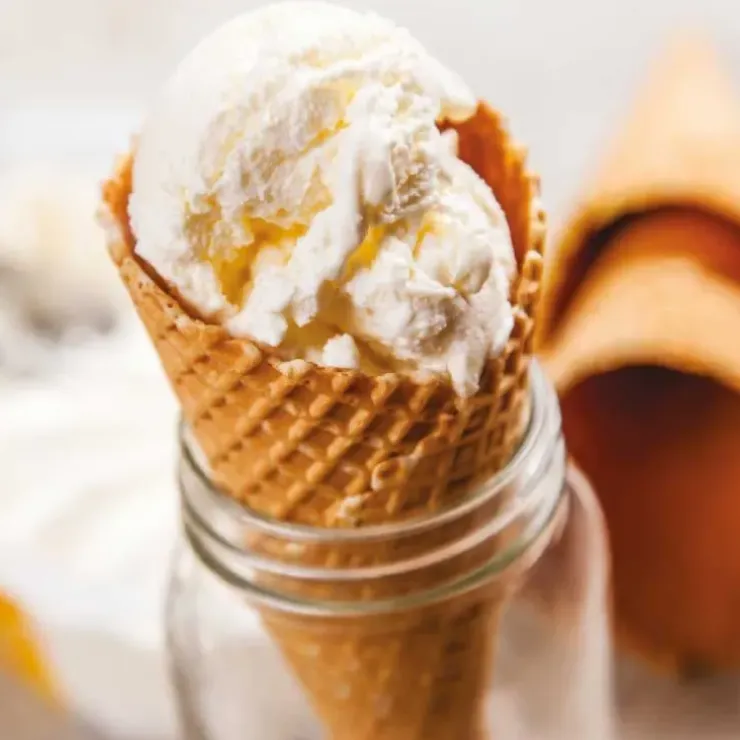 Cerf Dellier Mix glace maison 250 g Sale