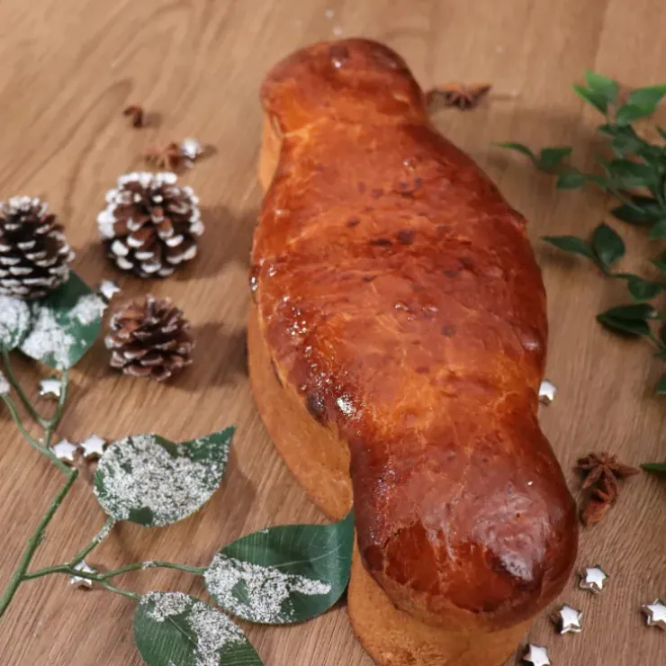 Cerf Dellier Moule à Coquille de Noël en papier - 500 g (x 4)