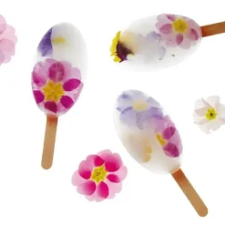 Cerf Dellier Moule à esquimaux silicone Waikiki + 50 bâtons Sale