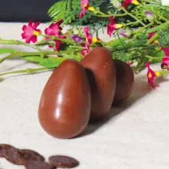 Cerf Dellier Moule chocolat en 3 parties Œufs lisses Best