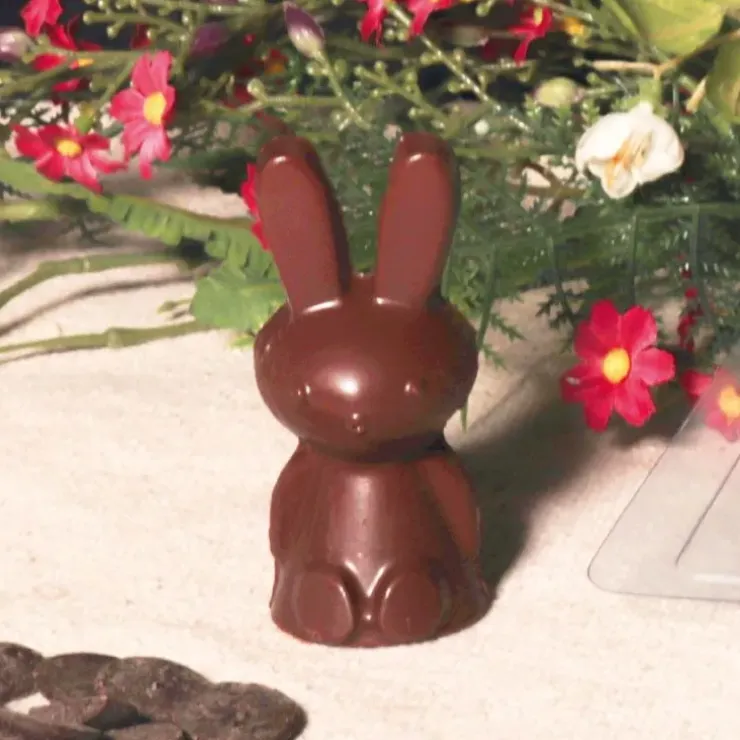 Cerf Dellier Moule chocolat en 3 parties Petits lapins