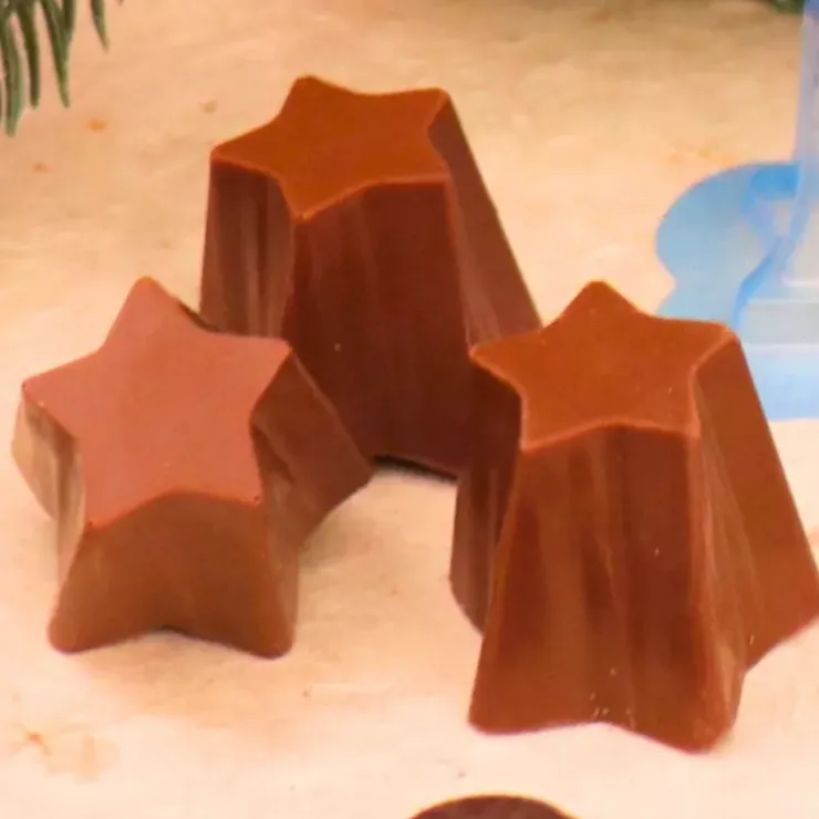 Cerf Dellier Moule chocolat en 3 parties 8 coupes étoile Online