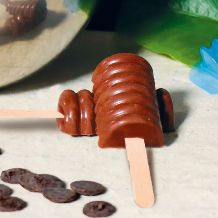 Cerf Dellier Moule chocolat en 3 parties glaces à spirales