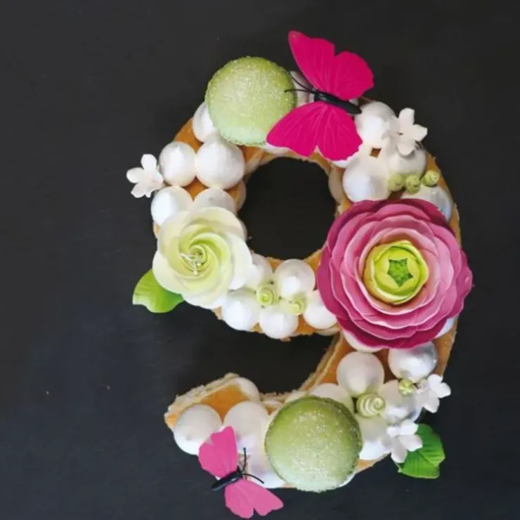 Cerf Dellier Moule number cake chiffre 9 Best