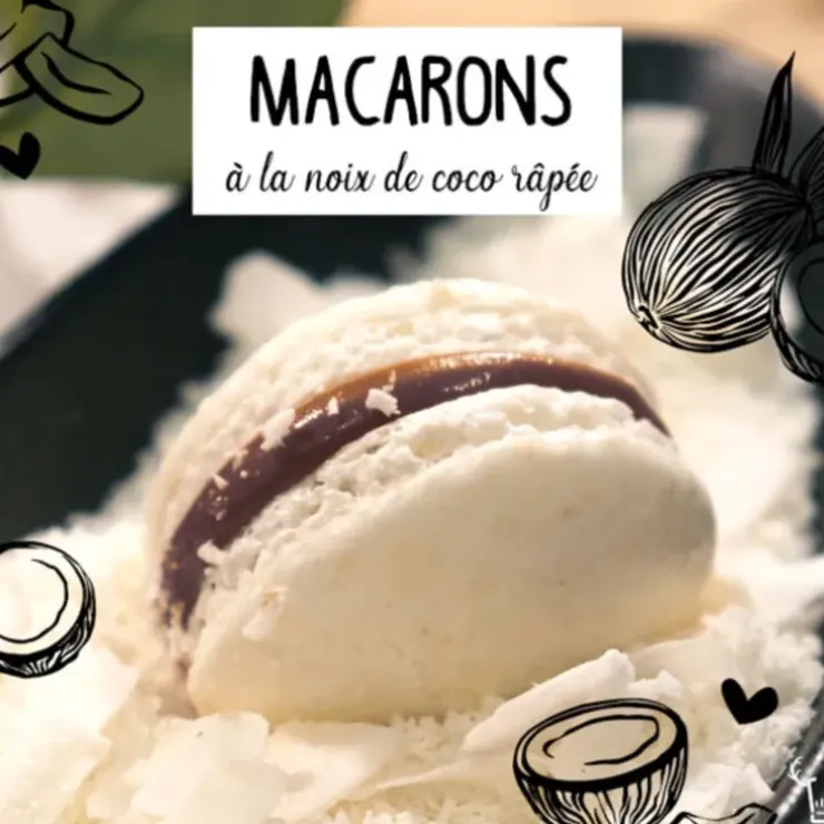 Cerf Dellier Noix de coco râpée fine 1kg Online