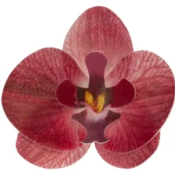 Cerf Dellier Orchidées rouges azyme (x10) Best