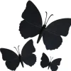 Cerf Dellier Papillons noirs aimantés assortis (x3) Outlet