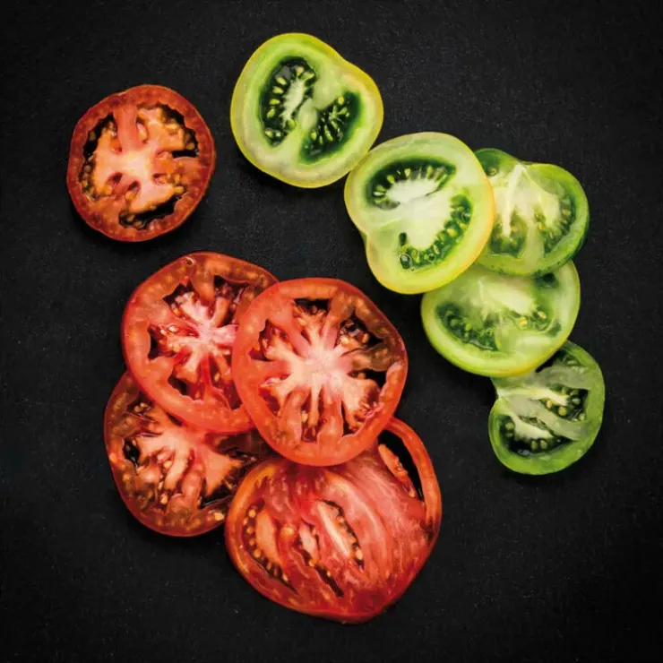 Cerf Dellier Prep Chef outil coupe-tomates rondelles lames inox épaisseur 5 mm
