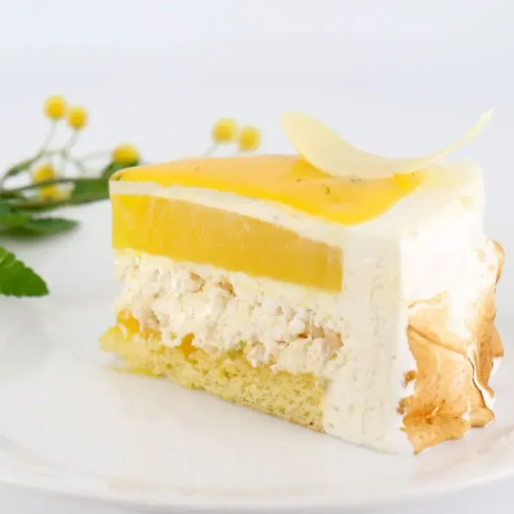 Cerf Dellier Préparation bavarois citron 100 g Discount