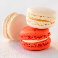 Cerf Dellier Préparation coques de macarons 1 kg Hot