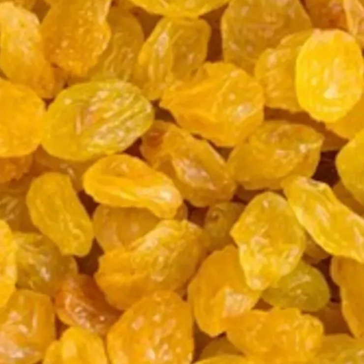 Cerf Dellier Raisins sec golden 1kg Discount