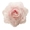 Cerf Dellier Rose rose géante azyme Best