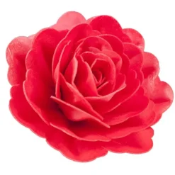 Cerf Dellier Rose rouge géante azyme New