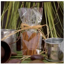 Cerf Dellier Sachets plats polypropylène - 120 x 240 mm (x100) Discount