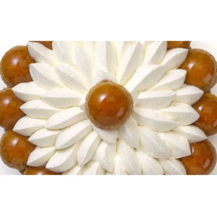 Cerf Dellier Sucre vanillé bio Prova 1 kg - DDM 03/24 Best