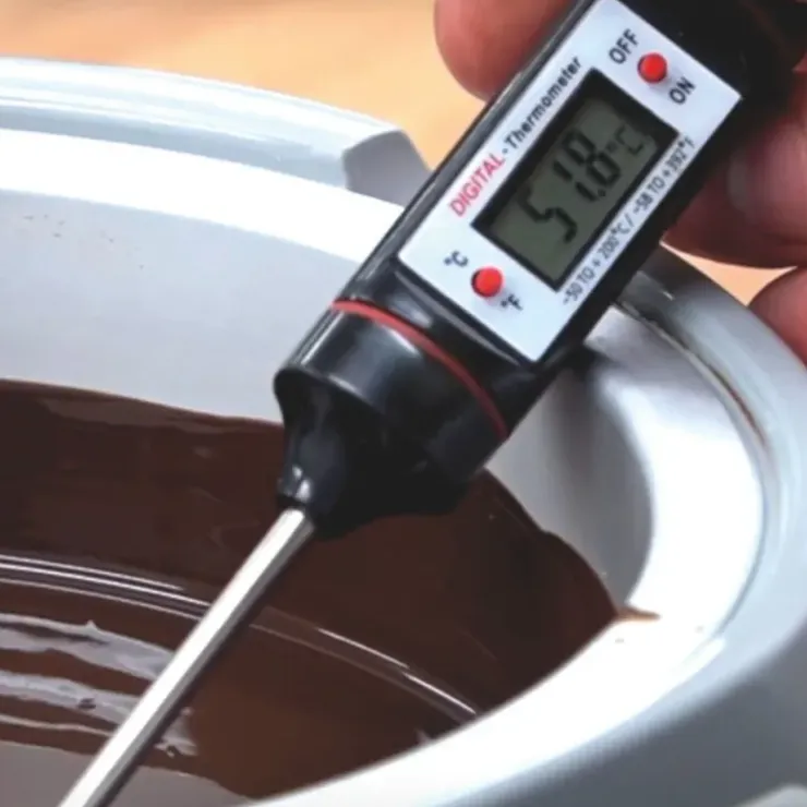 Cerf Dellier Thermomètre de cuisine digital électronique Sale